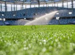 杭州,岁少年过度,饮茶致风险,开云体育,KaiYun,开云体育网址,开云app,开云官网,开云集团