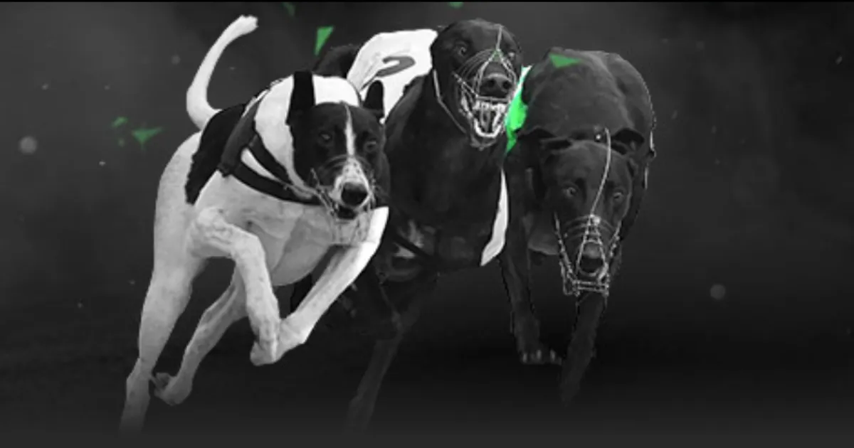 欧洲足球四,大悲剧的由,来大揭秘,开云体育,KaiYun,开云体育网址,开云app,开云官网,开云集团