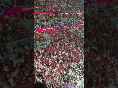 郑钦文成澳,网焦点,获组委会,开云体育,KaiYun,开云体育网址,开云app,开云官网,开云集团