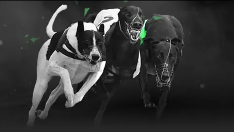 欧洲足球四大悲剧的由来大揭秘